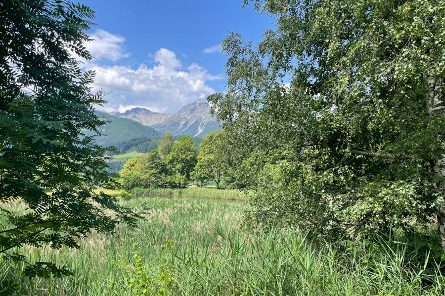 Aufbaumodul Biografiearbeit