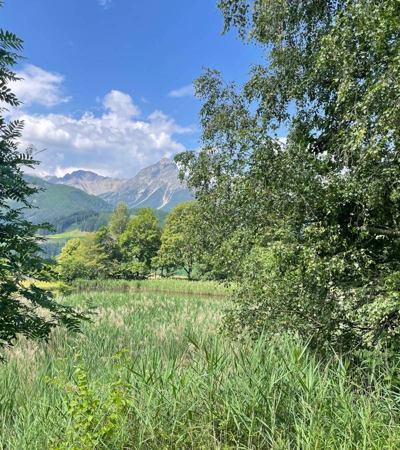 berge_und_baeume_2-2_original